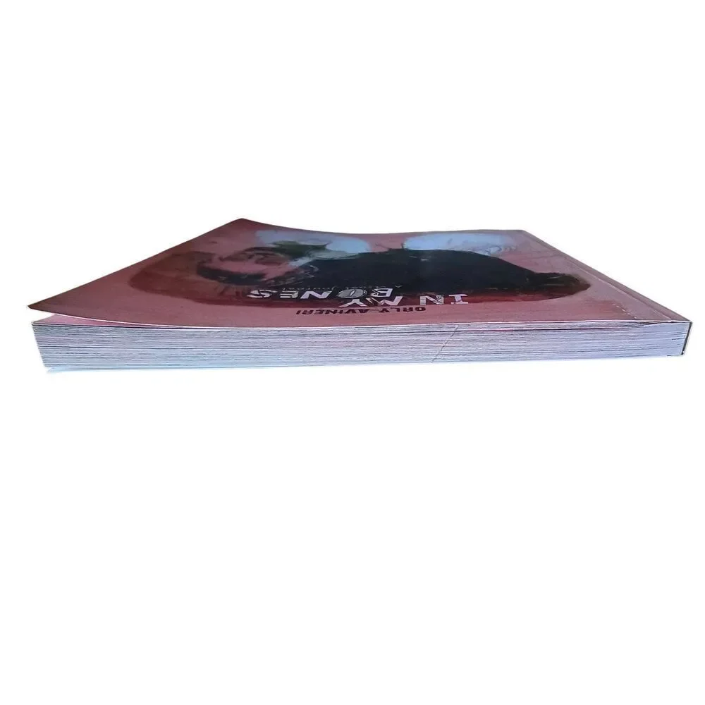 In My Bones: A Visual Journal Book by Artist Orly Avineri 2014 paperback